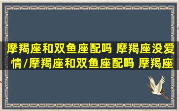 摩羯座和双鱼座配吗 摩羯座没爱情/摩羯座和双鱼座配吗 摩羯座没爱情-我的网站